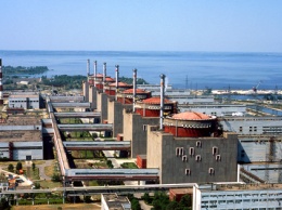 Полиция задержала неадеквата, "заминировавшего" Запорожскую АЭС