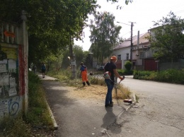 В Симферополе за неделю скосили сорняков на площади в 140 тысяч кв. м