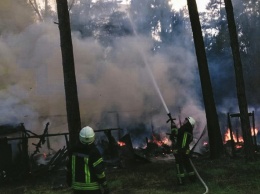 В Киеве масштабный пожар в поселке Водогон (фото, видео)