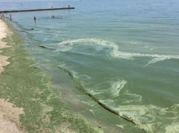 В Одессе внезапно позеленело море: что случилось