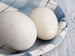 Гусиные яйца улучшают состояние здоровья курильщиков