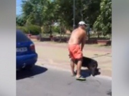 Собака не выдержала: в Кирилловке нелюди гнали на машине с привязанным псом (Видео)