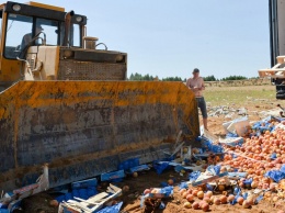 Роспотребнадзор предложил прекратить уничтожение санкционных продуктов, пригодных для употребления в пищу