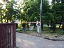 В Подольском районе обработали от клещей два парка