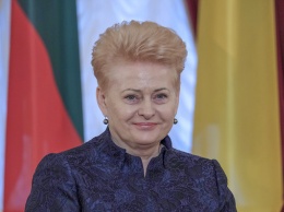 Президент Литвы предостерегла от сотрудничества с враждебными государствами