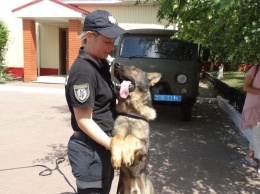 «Это - не спецсредства, а четвероногие напарники»: в кинологическом центре одесской полиции тренируются полсотни собак