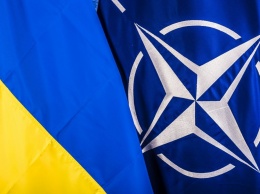 В НАТО назвали санкции против России замечательным примером сотрудничества