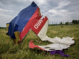Родственники погибших при крушении рейса МН17 протестовали под посольством РФ в Нидерландах