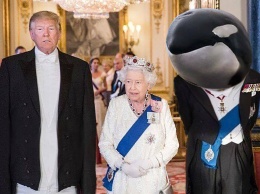Над Трампом насмехаются в сети из-за твита о встрече с "принцем китов": забавные мемы