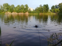 Спасатели достали из озера в урочище длинный Лан в Киеве тело мужчины. Фото