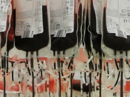 Всемирный день донора крови - памятка для донора