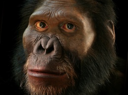В Африке, возможно, обнаружили древнейшего человекоподобного гоминида