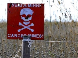 Стало известно, сколько гражданских погибло от мин за 5 лет войны на Донбассе