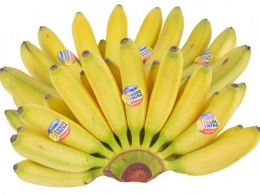 7 удивительных полезных свойств бананов