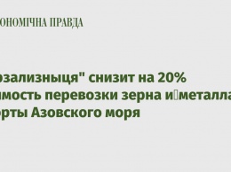 "Укрзализныця" снизит на 20% стоимость перевозки зерна и металла в порты Азовского моря
