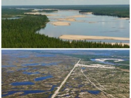 Глобальное потепление превратило озера Ямала в болота
