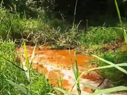 В Харькове река окрасилась в оранжевый цвет