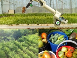 Робот-фермер поднимет с колен сельское хозяйство