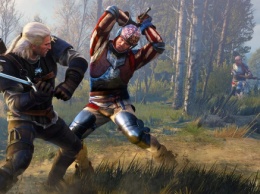 В Китае CD Projekt RED называют «тупым польским ослом», а BioWare - GayWare