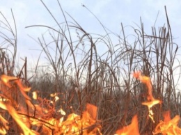 На Николаевщине спасатели ликвидировали пожары сухой травы и мусора