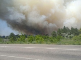 Херсонщина в огне. Очередной лесной пожар ликвидировали спасатели