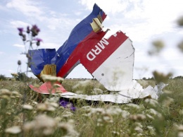 FT: Россия должна передать подозреваемых в катастрофе MH17