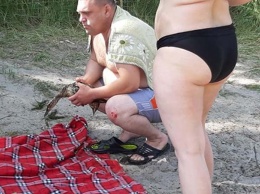 На пляже Днепра мужчина отловил дикую утку, которой умилялись дети