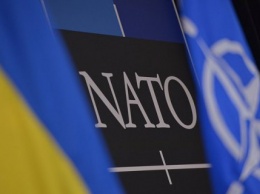 НАТО усиливает сотрудничество с военной разведкой Украины