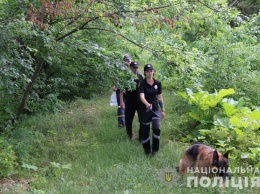 Пропавшего студента ищут с собаками