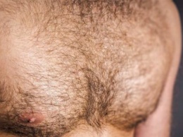 Вот, что можно узнать по волосам на груди мужчины