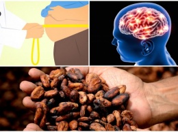 Какао-бобы спасут от ожирения и инсульта: Ученые назвали ряд причин любить шоколад