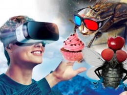 Муха ест в 3D, а ты нет: Ученые добавили в виртуальную реальность ощущение вкуса