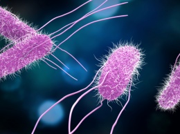 В США обнаружена неуязвимая для антибиотиков сальмонелла