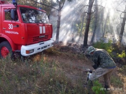 Неизвестный устроил пожар в лесу под Одессой