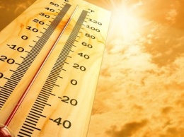 В Фонде страхования призывают обеспечить необходимые условия труда во время жары