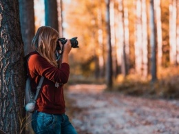 Настраивай объектив: в Полтаве объявили конкурс на лучшую фотографию леса