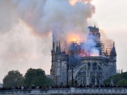 Прокуратура Парижа назвала возможные причины пожара в Нотр-Даме