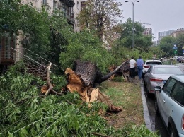 Срывало крыши и ломало деревья - как Киев пережил визит циклона Отто