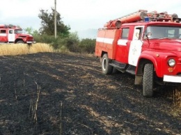В Донецкой области пожар уничтожил 50 га посевов пшеницы и ячменя