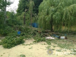 На Харьковщине дерево упало на отдыхающих, есть жертвы