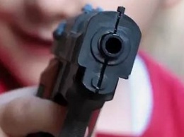 Под Киевом 6-летняя девочка выстрелила из винтовки в подружку