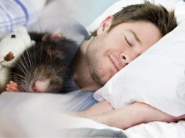 Ученые доказали влияние температурного режима на сон