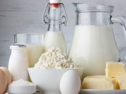 Чем полезны молочные продукты