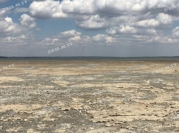 Вместо Молочного лимана под Мелитополем образовывается дурно пахнущая пустыня (видео, фото)