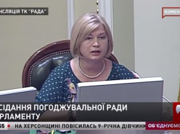 Зеленский не «сторож кабинета», он ответственный за международную политику, - Геращенко