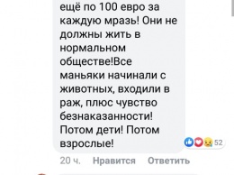 Днепряне согласны увеличить сумму вознаграждения за поимку «кошачьего маньяка»