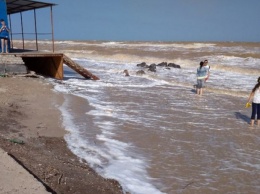 Известный курорт Украины атаковали морские блохи