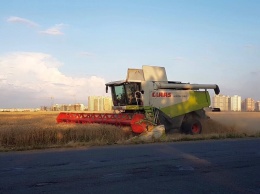 Жатва: к началу второго месяца лета в Одесской области собрали 885 тысяч тонн зерна