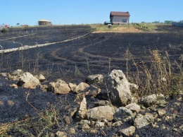 В Севастополе сгорело лавандовое поле