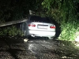 Последствия непогоды: в Никополе столб упал на автомобиль